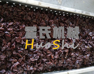 蒸女貞子、黃精體驗